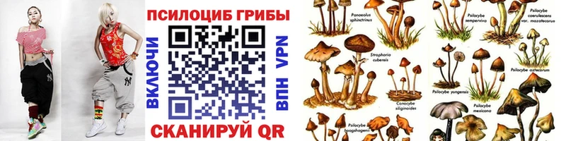 Галлюциногенные грибы прущие грибы  наркошоп  Елабуга 